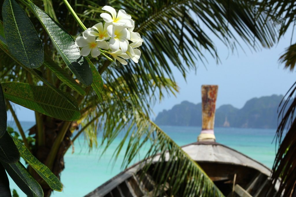 Parenthèse Tropicale 1h30